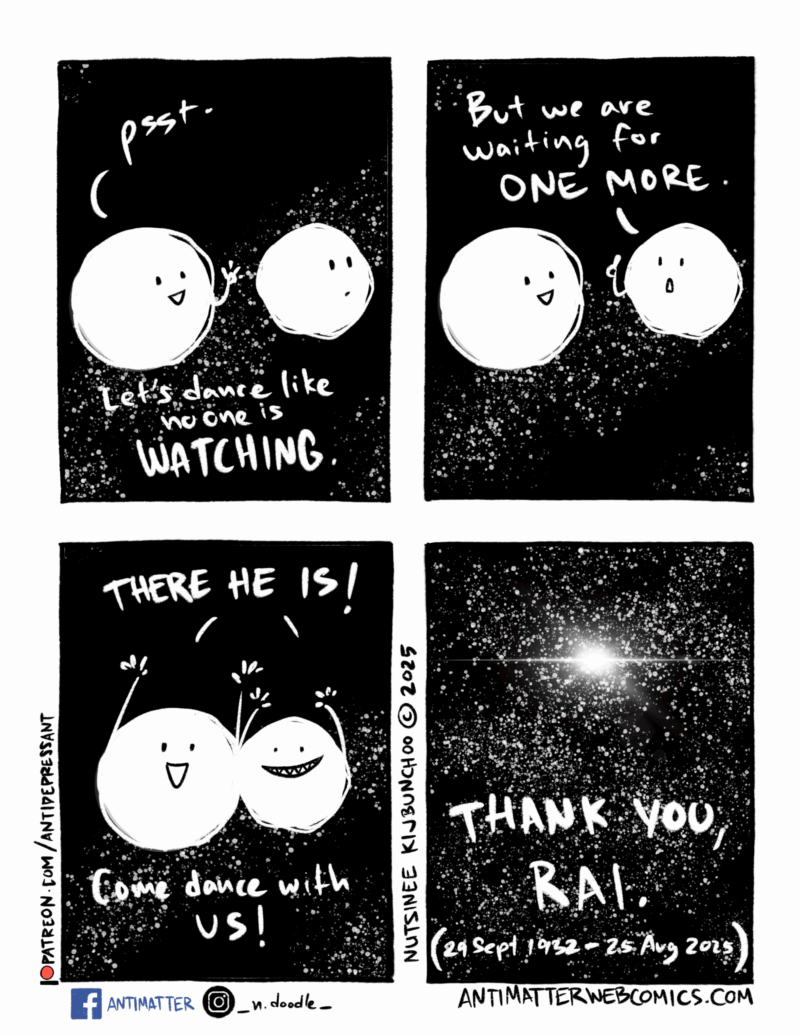 Thank you, Rai