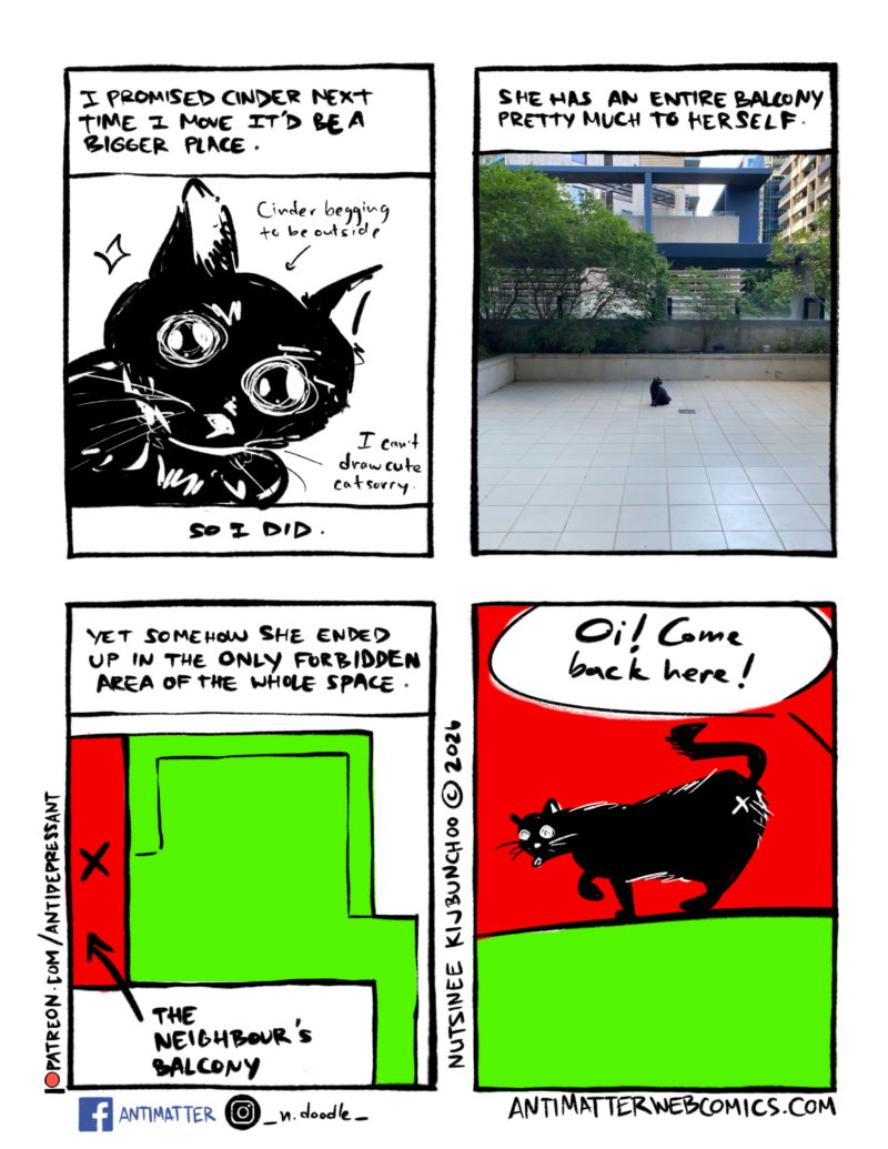 The Balcony